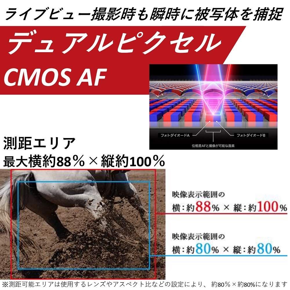 Canon Цифровая зеркальная фотокамера EOS 90D body EOS90D