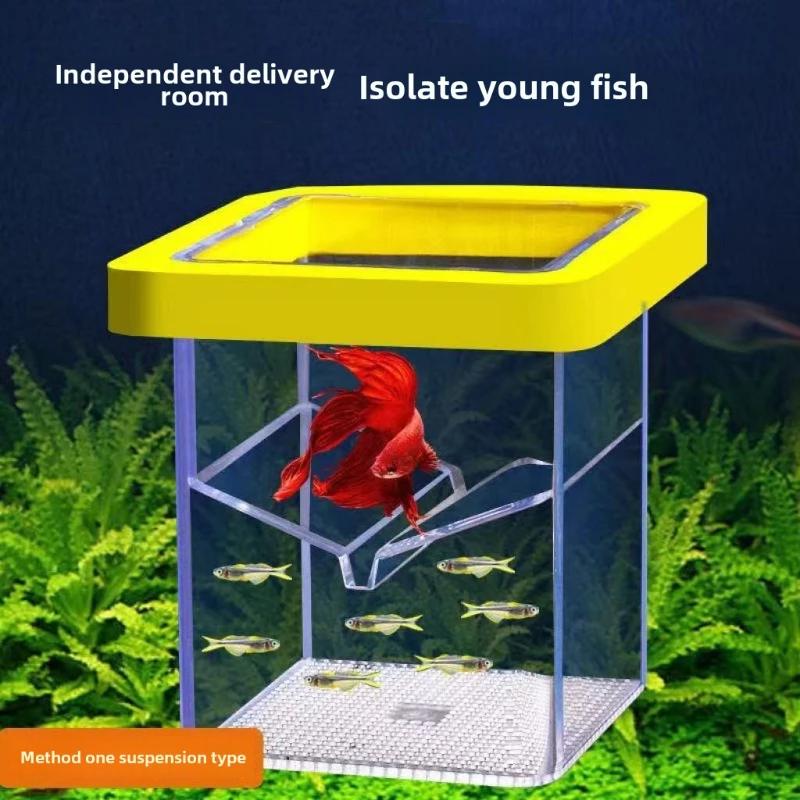 Isolation box, mother fish, small fish, suspended floating breeding, peacock fish fry, small fish tank, incubator, hatching box
