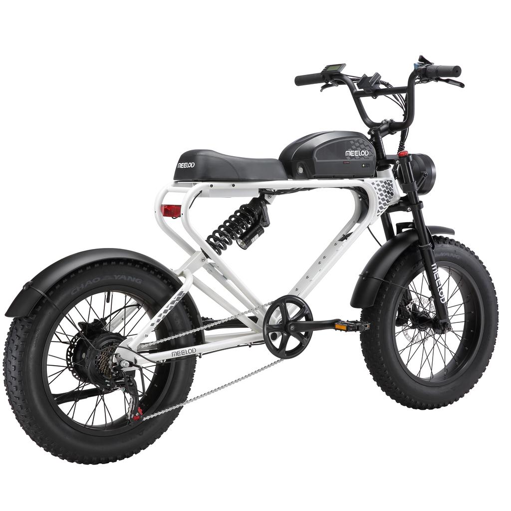 MEELOD DK300PLUS Adult Electric Bicycle 750W Motor 48V20Ah Battery Electrical Road Bike 20" Fat Tire Retro Urban Commuting Mountain E-Bike