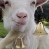 Antirust Loss Prevention Making Wind Chimes Farm Bell Pet Pendants Grazing Bell Copper Bell
