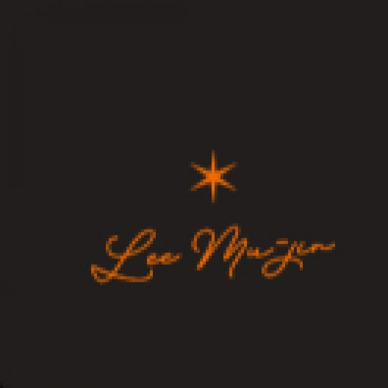 Lee Moo Jin   01 Cheering Stick Pouch  2024 Lee Moo Jin National Tour Concert Official Md