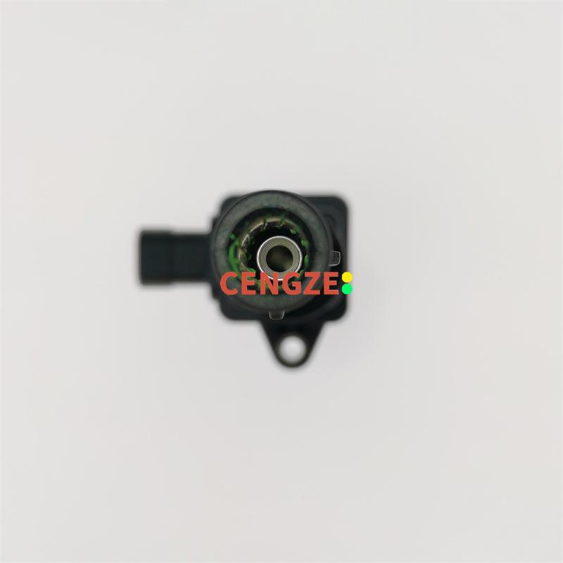 F01R00A083 10130331820000 Trumpchi GA5/GA6/GA8/GS5/GS7 Ignition Coil 1.8T 4B18M Engine Models