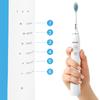 Maltec Toothie X1 WH Sonic Electric Toothbrush with Case and 6 Heads