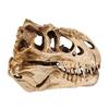 Individuality Unique Resin Dinosaurs Skull Model for Indoor