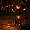 Spooky Garden Stake Lights for Parties Halloween Solar Light, Black Cat Pumpkin on Crescent Moon with Illuminated Path Markers Hanging Lantern,
