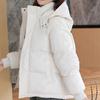 Winter Women's Hooded Zipper Loose Down Jacket Women's Solid Color Short Thick Padded Jacket