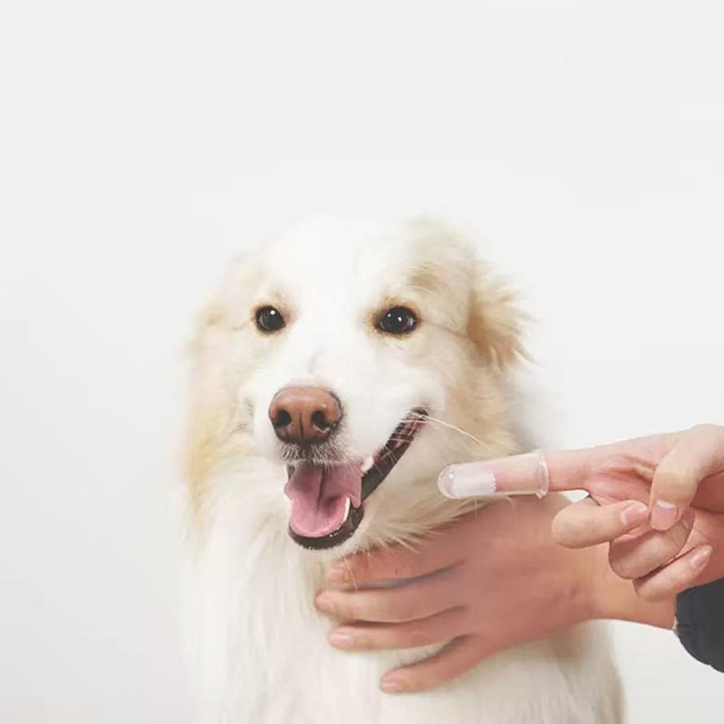 Набор из 3 щеток для чистки зубов пальцами для собак, силиконовая щетка для чистки зубов для собак и мелких пород, изготовленная из пищевого силикона.