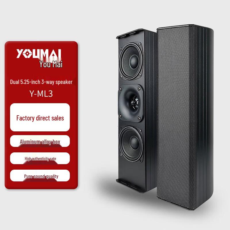 Youmai ML Series Professional Conference Speaker Column (CN version)