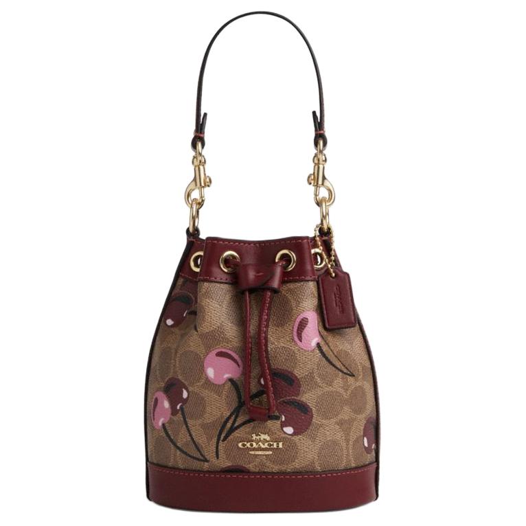 Coach Мини-сумка-ведро из искусственной кожи, женская, на одно плечо, коричневая и разноцветная CY738-IMTAM