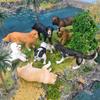 Simulated Animal 8 Pet Dog Toys Golden Retriever Labrador Husky Shiba Bullfighting White Poodle