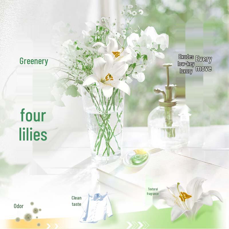 Lion Гель для стирки в капсулах с растительным экстрактом Nanox