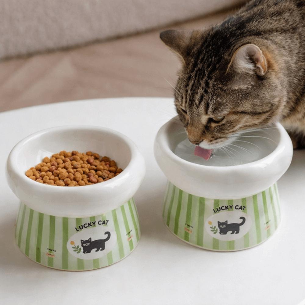 Wide Mouth Dog Food Feeder Anti-Slip Base Elevated Feeding Bowl  for Cats Dog Puppy