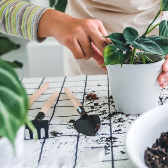 Набор инструментов для суккулентов, коврик для пересадки комнатных растений с сумкой для хранения, водонепроницаемая миниатюрная сочная рука