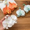 Simulated Flower Butterfly Orchid Earrings Beach Jewelry Flower Earrings  Women