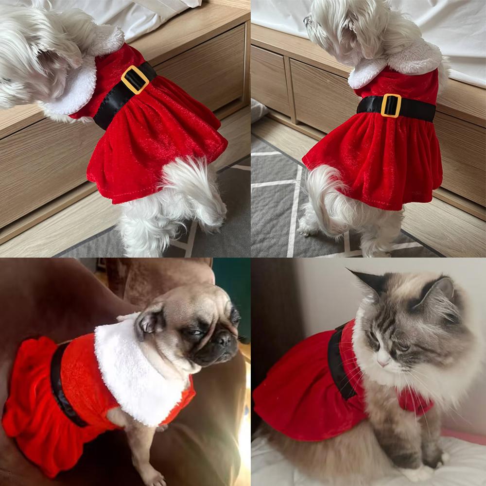 Pet Christmas Dress for Small Medium Dogs Cats Cozy Cute Puppy Santa Claus Outfits Chihuahua Yorkshire Princess Skirt Costume
