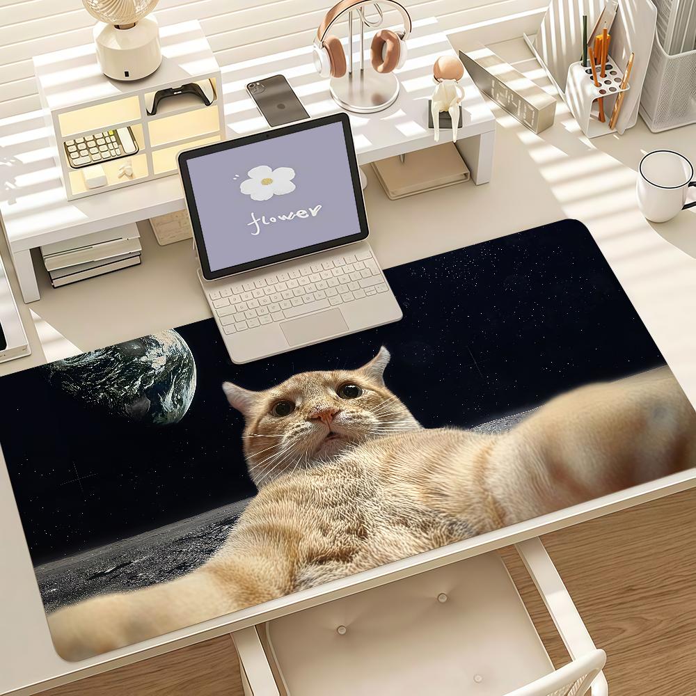 Funny Silly Cat Meme Large Mouse Pad Gaming Desk Mat Nonslip Rubber Base For Laptop Pc Desktop Decor