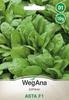 Spinach Asta F1 10g Spinach Seeds -