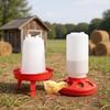 1 Set Poultry Thickened Feeder and Drinker Water Food Dispenser Automatic Chicken Birds Chick Waterer Feeding Bucket Container