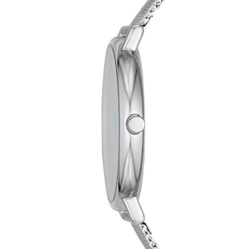 SKAGEN SKW2730 SIGNATURE SILVER LADIES Skagen Signature Silver Stainless Steel Mesh Women's Watch [Parallel Import]