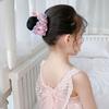 Mesh Flower Hair Net Rainbow Ballet Bun Snood Fashion Children Bun Net  Party