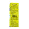 Baidyanath Asli Ayurved Isabgol Psyllium Husk Powder 100 gm | Natural Fiber Digestive Support