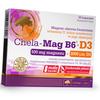 Chelate Magnesium and Vitamins B6 D3, Chela-Mag B6+D3, (36283121)