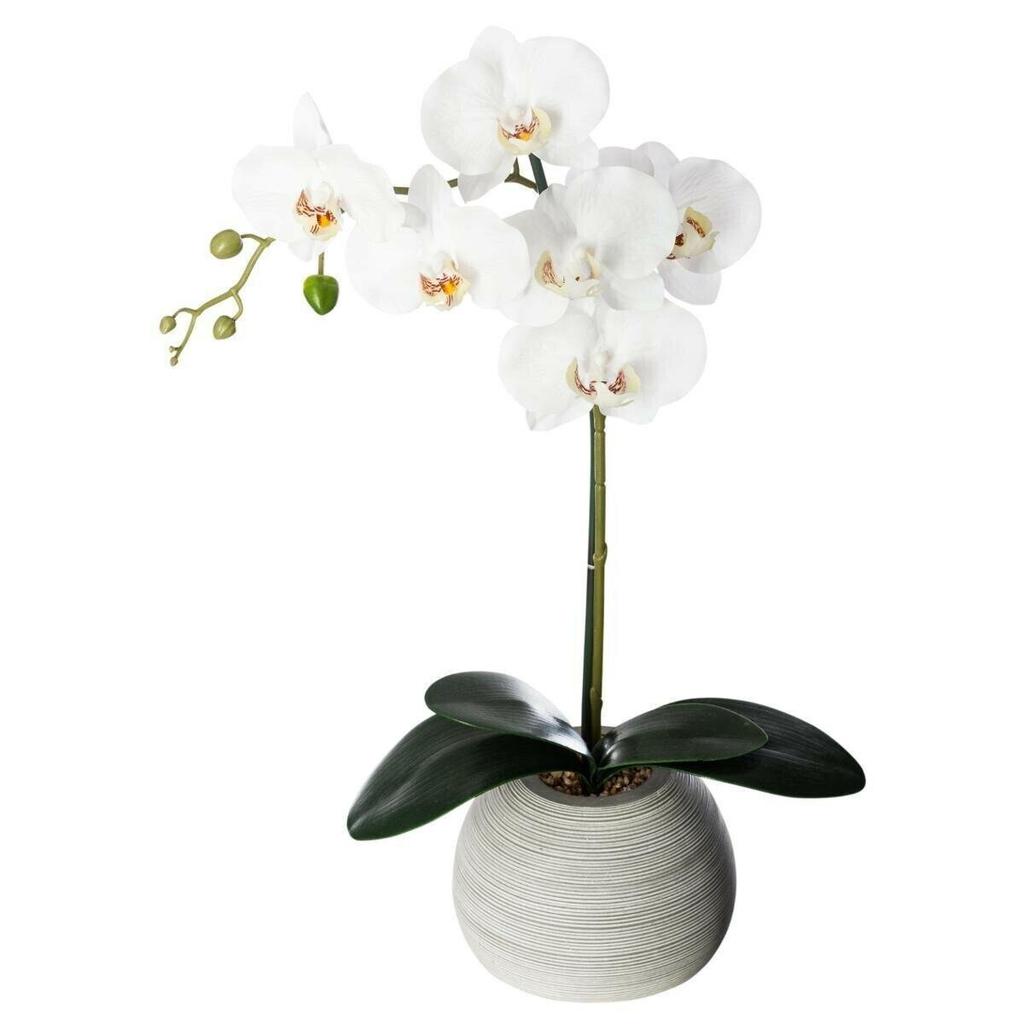 Real Touch Artificial Orchid With Concrete Pot
