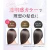RISHIRIA Furel Color Shampoo Refill Pouch 240ml Набор из 2 Color Treatment x 1 Упаковка Color Care Conditioner x 1 (Темно коричневый) [Пробный пакет]