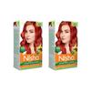 Nisha Crème Hair Color, Permanent Red Hair Dye Color, 100% Gray Coverage, No Ammonia, Copper Red, 4.23 Oz (Pack of 2)