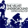 CD VELVET UNDERGROUND - Ostrich/Hilltop 97C019 Colosseum 1997 Япония Рок Б/У