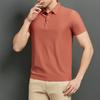 Summer Men's Ice Silk POLO Shirt Seamless Nylon Youth Lapel T-shirt Short-sleeved Business Men's Clothing