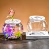 Transparent Small Clear Fish Tank Shatterproof Turtle Terrarium Turtle Aquarium  Office Decor