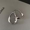 High-End Mobius Silver Needle Earrings and Ear Clips for Women