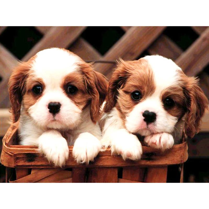Diy 5d Diamond Embroidery Two Dogs Diamond Painting Cross Stitch Rhinestone Mosaic Decoration