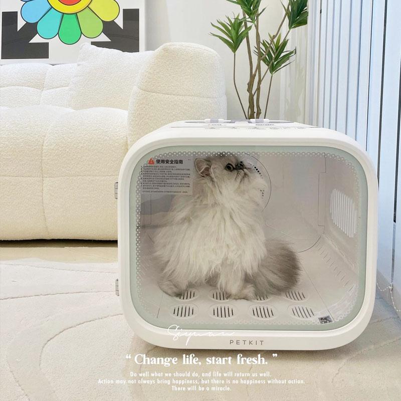 Mini Cat Dryer Machine Household Pet Grooming Drying Cabinet Profession Blower Box for Cat Animal Bathing Dry Room Products
