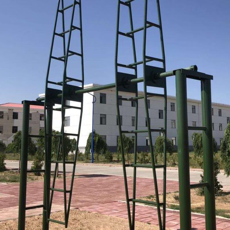 Iron Colt Anti-Dizziness Training Rotary Ladder