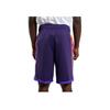 Nike Шорты NBA Phoenix Suns Swingman City Edition Dri-Fit фиолетовые унисекс уличная одежда DX8716-535