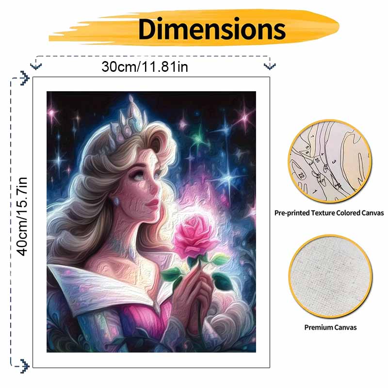 Disney Princess Aurora Oil Paint Art Painting Kit Oil Paint Dots Home Wall Decor