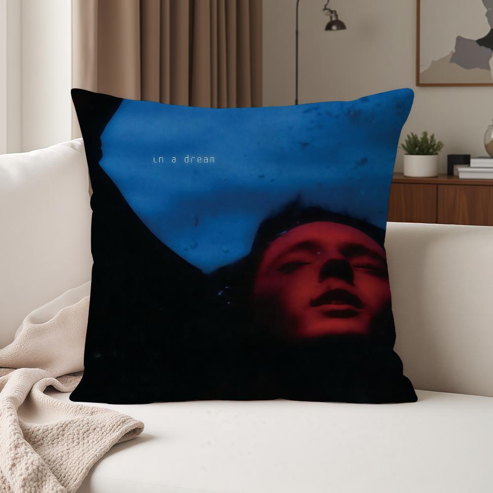 Singer Troye Sivan Blue Neighbourhood Pillow Case Suitable For Bedrooms Living Rooms Cars Home Decoration