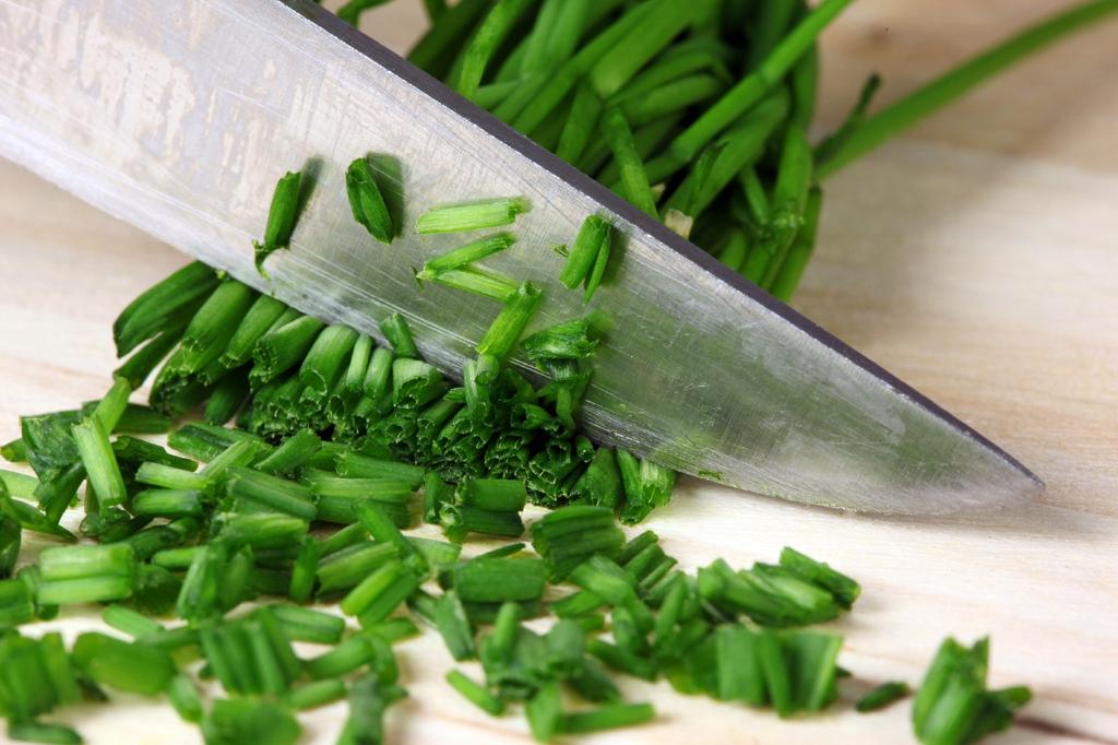 SAFLAX Сад в сумке - Органический - Зеленый лук - 250 семян - С субстратом в подходящей устойчивой сумке - Allium schoenoprasum