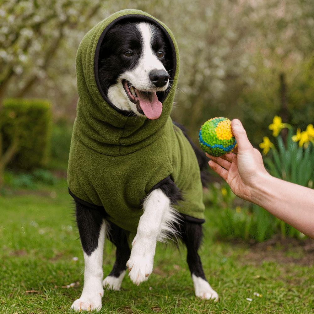 Утепленная зимняя жилетка-пальто для собак, однотонная, с капюшоном, пижама для питомцев, универсальная одежда для питомцев