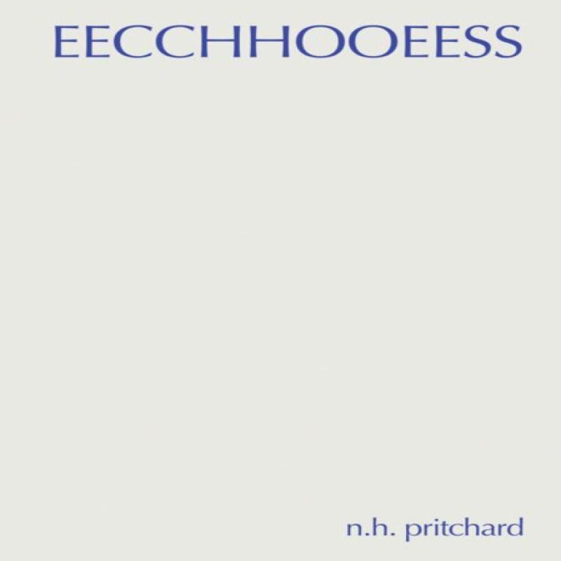 Eecchhooeess by N.H. Pritchard Hardback Book 9781734681703