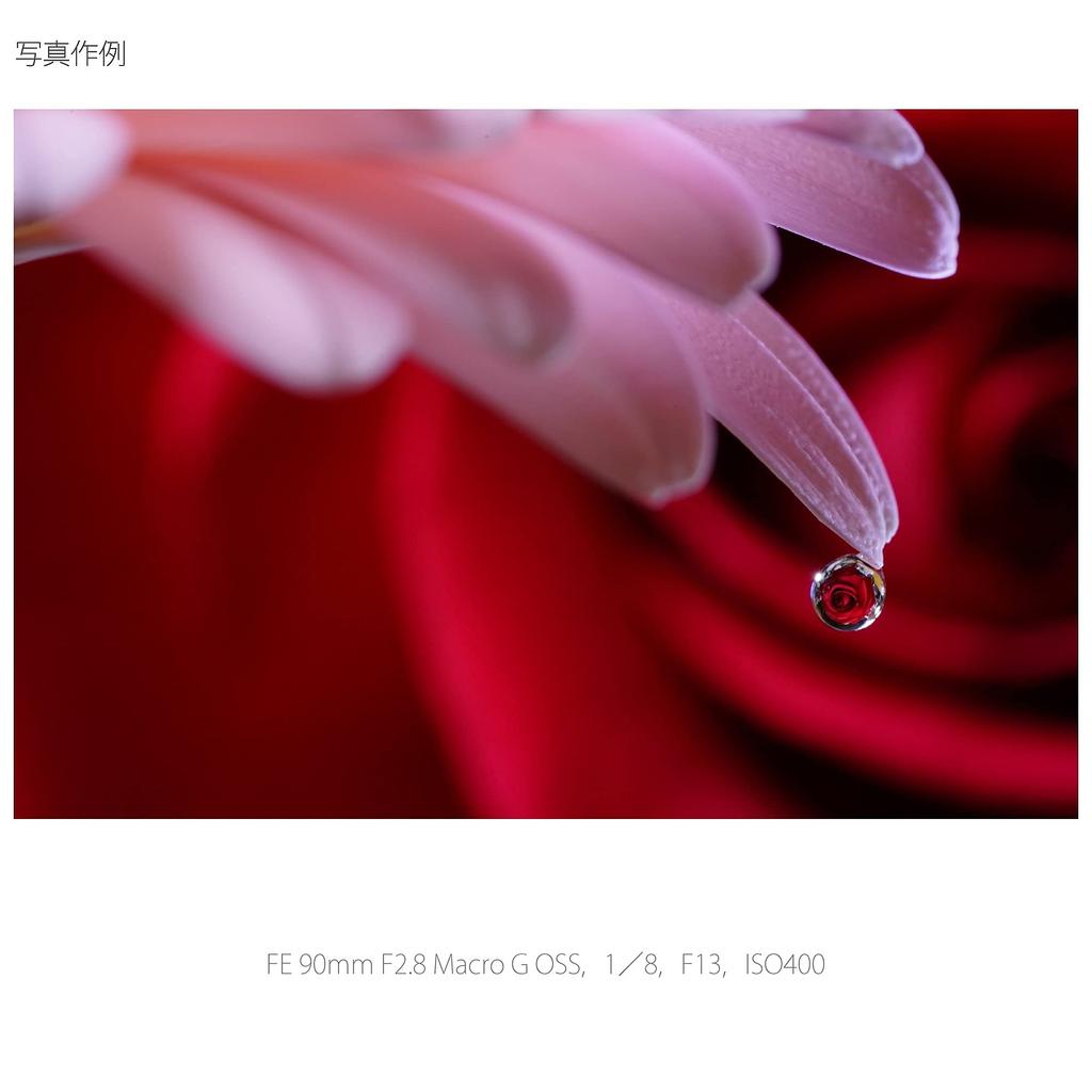 Sony Macro Full Size FE 90mm Macro G OSS G Lens for Digital Single Lens Camera Genuine Lens SEL90M28G F2.8 [E Mount]