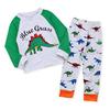 Kids Boys Dinosaur Stegosaurus 2Pcs Pajamas Set Shirt and Trousers Children Sleepwear