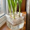 4-Hole Hydroponic Tulip Anti-Tip Stand Stabilize Keep Upright Tulip Bulb Support Holder Plastic Anti-Fall Plant Fixer Bracket