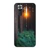 Nature Forest Tree Painted Cover Phone Case For Redmi Note 10 Pro 4G 5G Websites For Redmi Note 10 Pro 6.67" Soft Mobile Phone