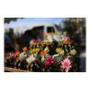 Nikon NIKKOR Z 35mm f/1.8 S | Премиальный широкоугольный светосильный фикс-объектив 35 мм для беззеркальных камер серии Z