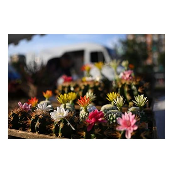 Nikon NIKKOR Z 35mm f/1.8 S | Премиальный широкоугольный светосильный фикс-объектив 35 мм для беззеркальных камер серии Z