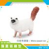 10 Simulated Cat Animal Models Lazy Orange Cat Siamese Cat Muppet Cat Black Cat Flower Cat Desktop Ornament Toys