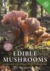 Книга Edible Mushrooms : A Forager's Guide To the Wild Fungi of Britain, Ireland and Europe